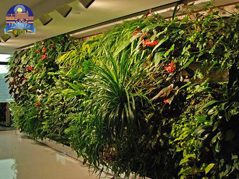 仿真植物墻1.jpg