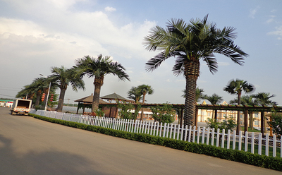 北京潤正莊園168棵大樹 (14)