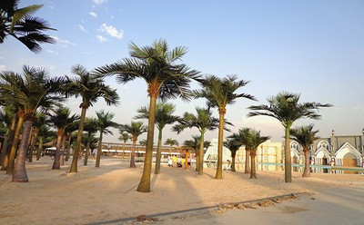 北京潤正莊園仿真椰子樹