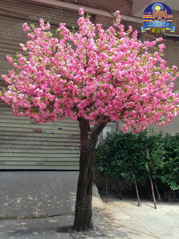 櫻花樹2.jpg