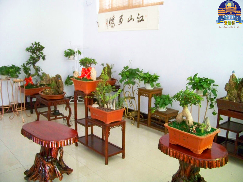 20126817044784.jpg