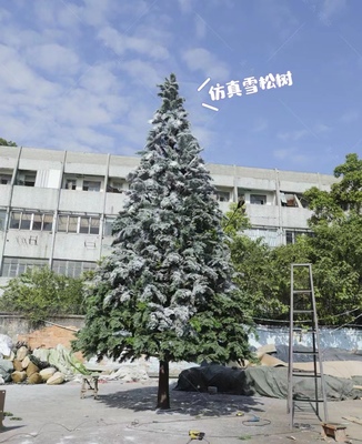 10米高仿真雪松