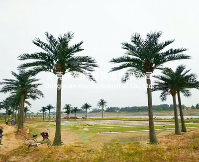 河南周口川匯體育館仿真椰子樹造景