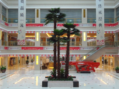 江蘇珠寶廣場仿真棕櫚樹