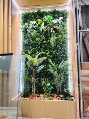 室内微景观造景 (2)