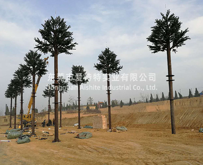 山西临汾拓展基地高9米基站树使用案例