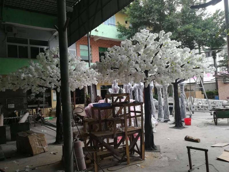 白櫻花3.jpg