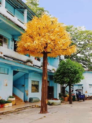 金色榕树，仿真树