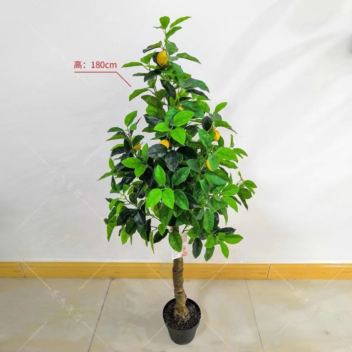仿真盆栽，橘子樹，蘋果樹 橙子樹