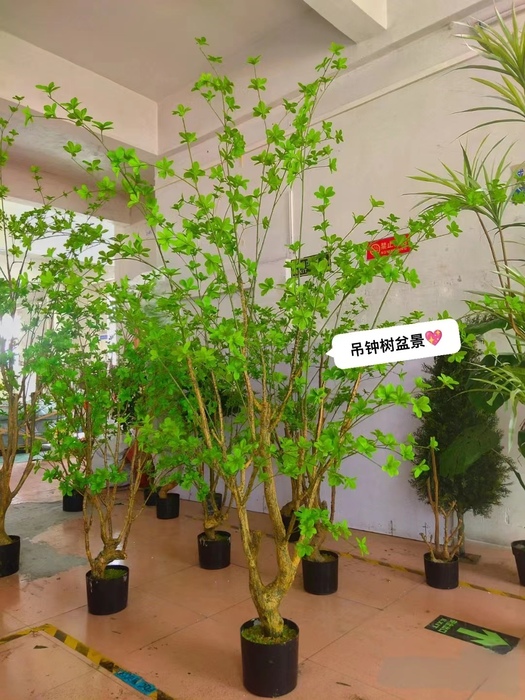 仿真吊鐘樹(shù)