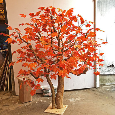 仿真枫树
