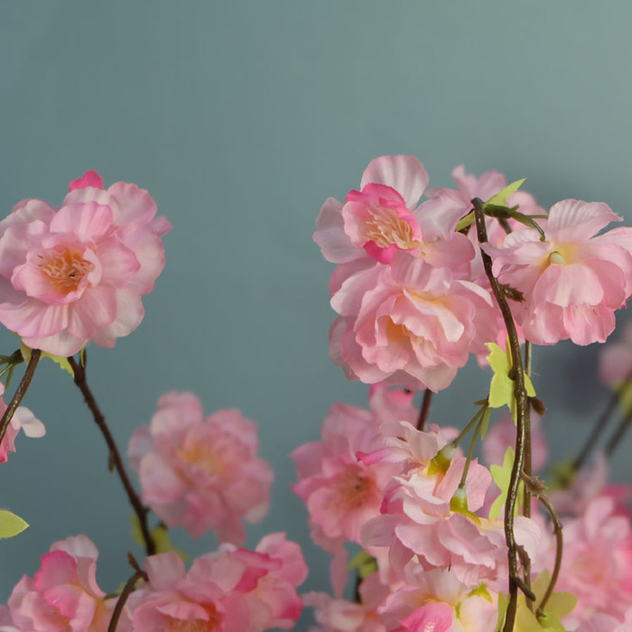 櫻花壁掛