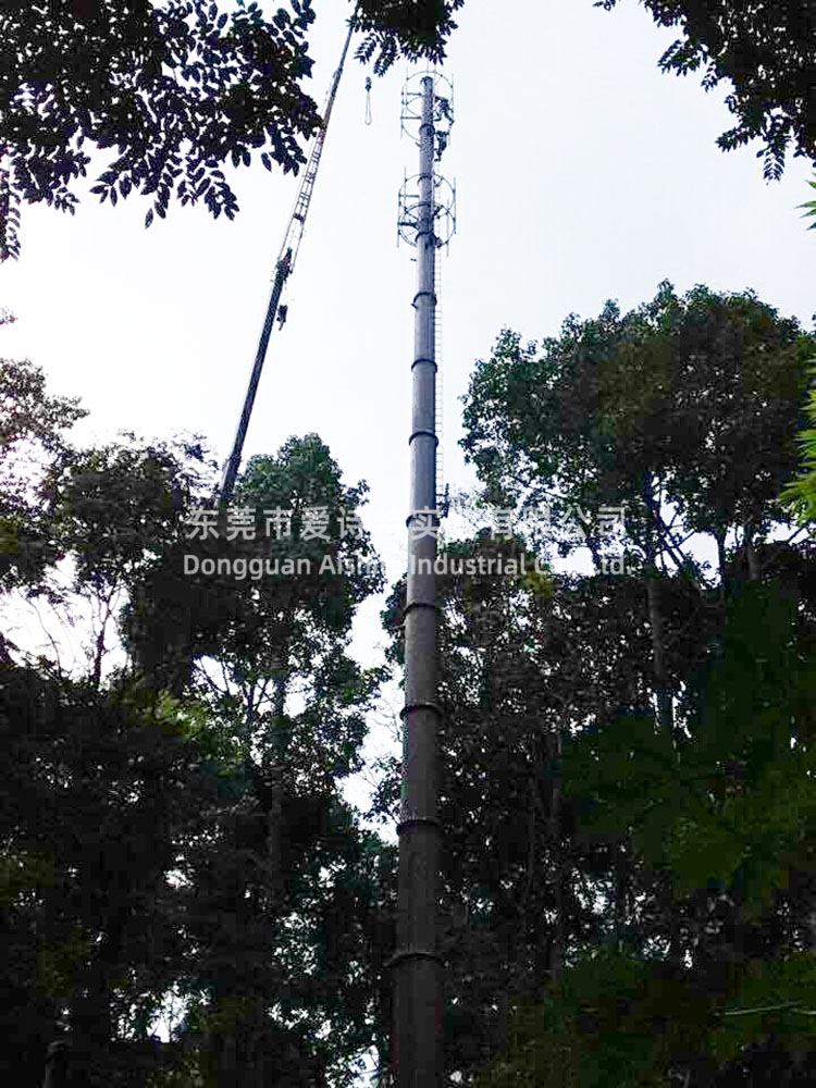泰国曼谷高35米基站通讯树案例.jpg