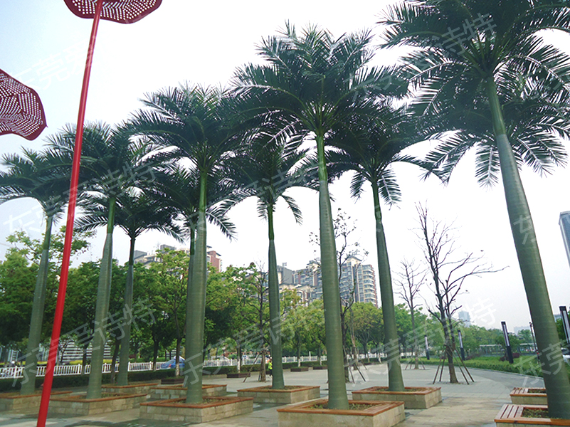 仿真椰子樹.jpg