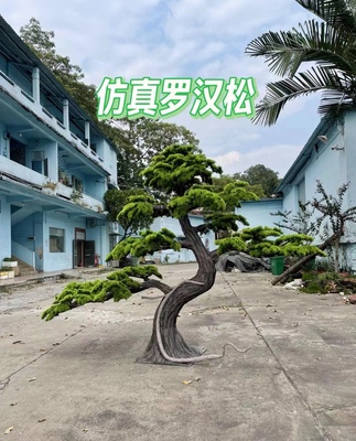 仿真羅漢松
