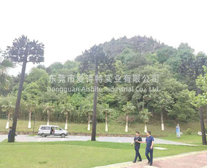 江西九江高9米灯杆监控松树使用案例