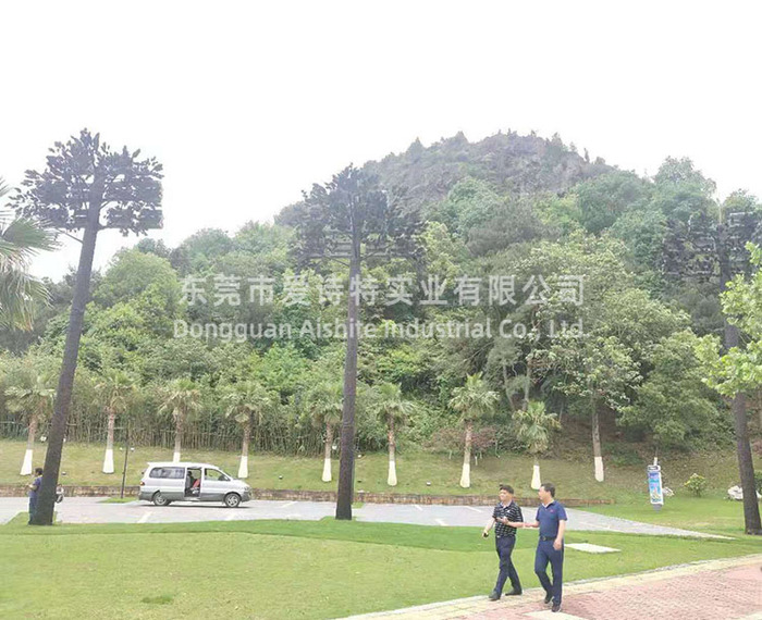 江西九江高9米燈桿監(jiān)控松樹(shù)使用案例
