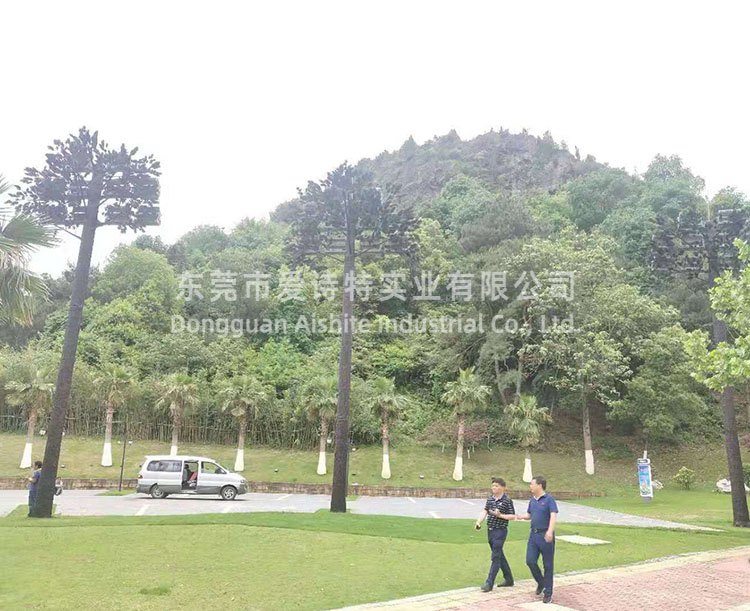 江西九江高9米燈桿監(jiān)控松樹(shù)使用案例.jpg