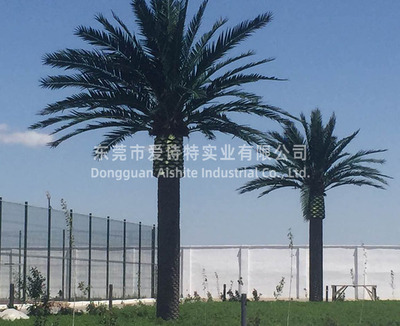 哈薩克斯坦室外仿真椰子樹、仿真海藻樹造景