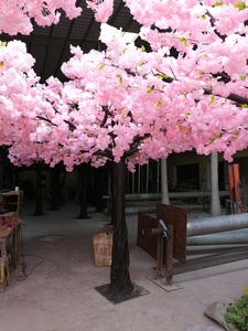 四月仿真樱花树成林
