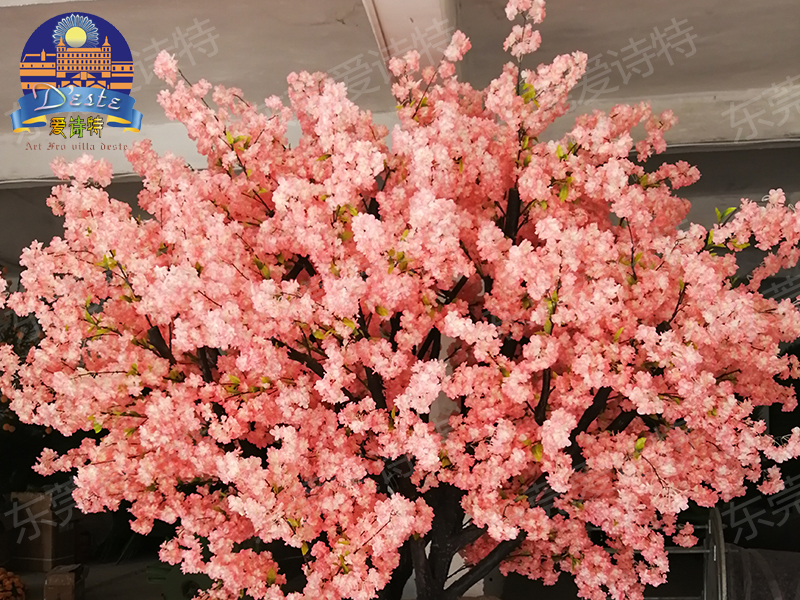 桃花樹(shù)1.jpg