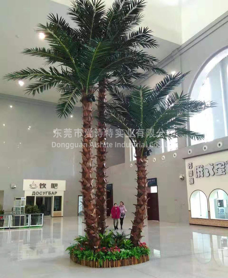 云南昆明城市公园广场保鲜椰子树造景.jpg