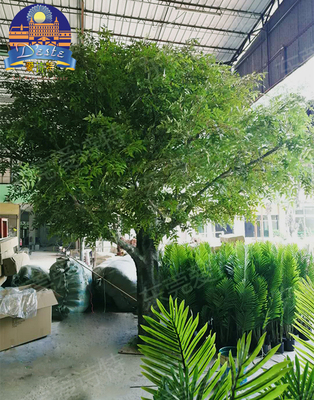 新款創(chuàng)意仿真梧桐樹