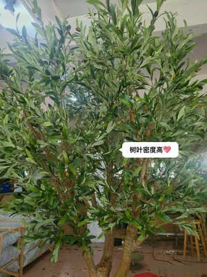 仿真橄欖樹