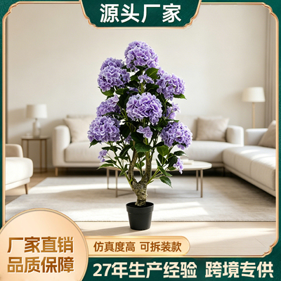 紫花绣球盆景高度1米
