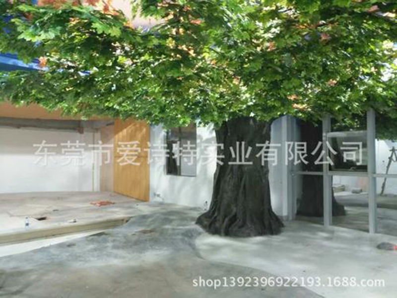u=3473462133,67764500&fm=15&gp=0.jpg