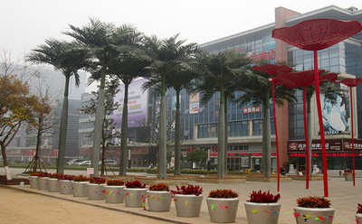 安徽蕪湖中央城仿真椰子樹