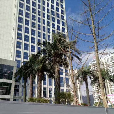 湖北萬基國際廣場仿真海藻樹