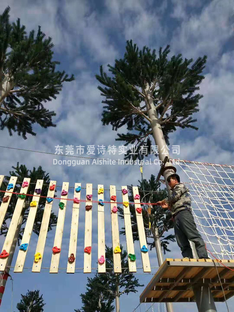 福建漳州拓展基地基站松樹應(yīng)用案例.jpg