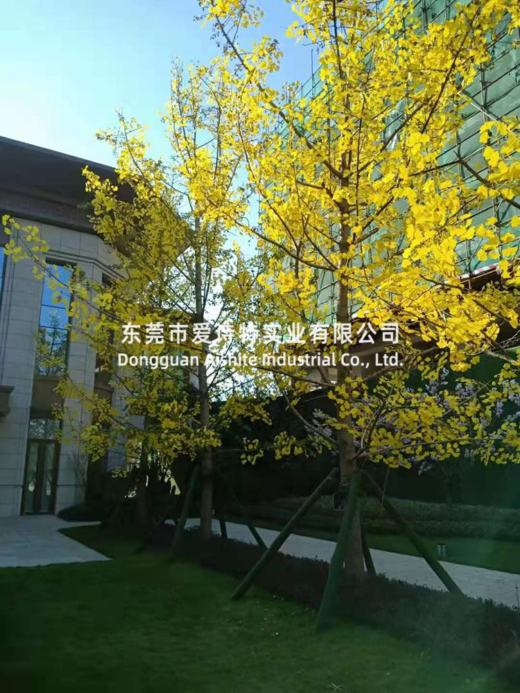 山東濟南小區(qū)枯樹改造工程.jpg