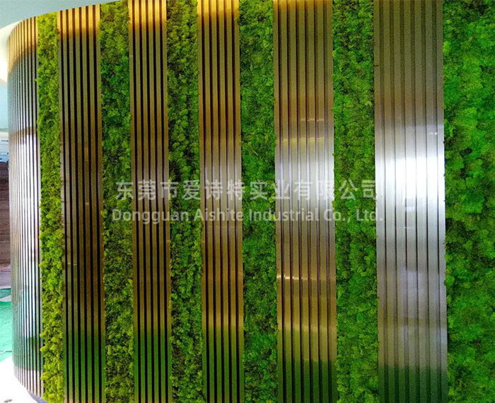 東莞康帝酒店仿真青苔墻裝飾項(xiàng)目