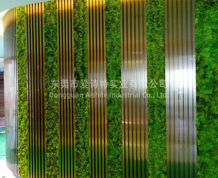 東莞康帝酒店仿真青苔墻裝飾.jpg