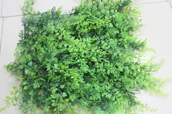 波斯草皮