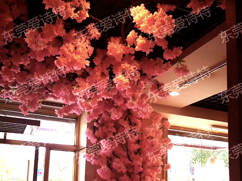 花樹2.jpg