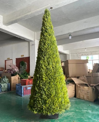 仿真錐形松柏