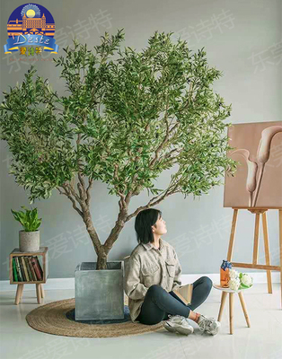 文藝清新仿真橄欖樹