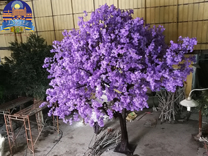 藍花楹（紫色）