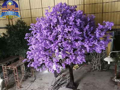 藍(lán)花楹（紫色）