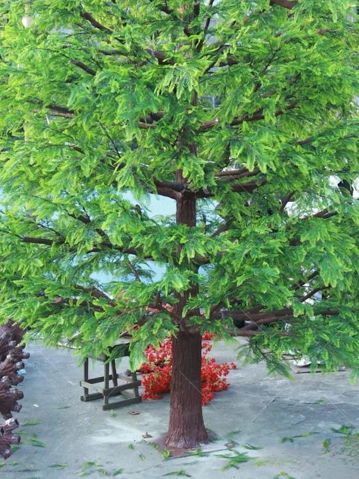 仿真水杉樹(shù)