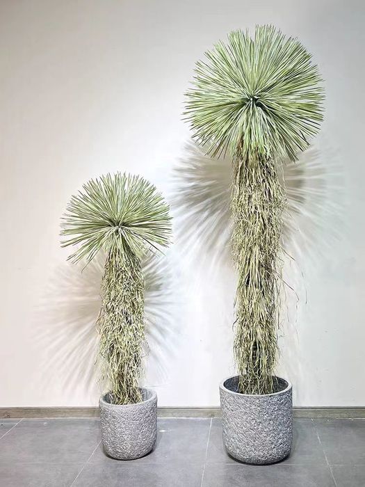 稻草人盆栽